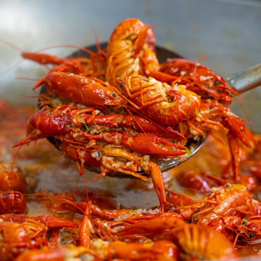 Crawfish Tôm Hùm Đất SET 1Kg Cajun Louisiana - Mr Tom American Nhà Hàng Hải Sản Cajun Phong Cách Mỹ