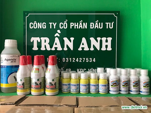 diệt mối, diệt mối tận gốc, diệt mối tại nhà, diệt mối tại tphcm, thuốc diệt mối pmc 90, diệt mối tận gốc tại tphcm, diệt mối giá rẻ, dịch vụ diệt mối uy tín, diệt mối tphcm, diệt mối quận 3, diệt mối uy tín, thuốc diệt mối mọt, công ty diệt mối uy tín, 