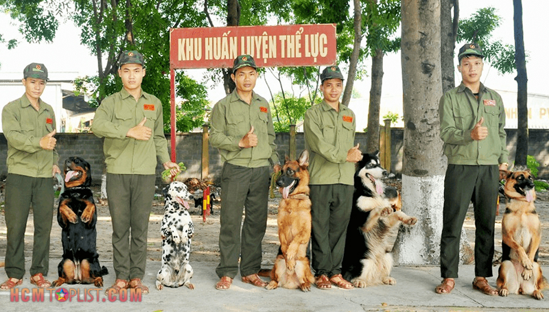 Trung tâm huấn luyện chó Quân Khuyển