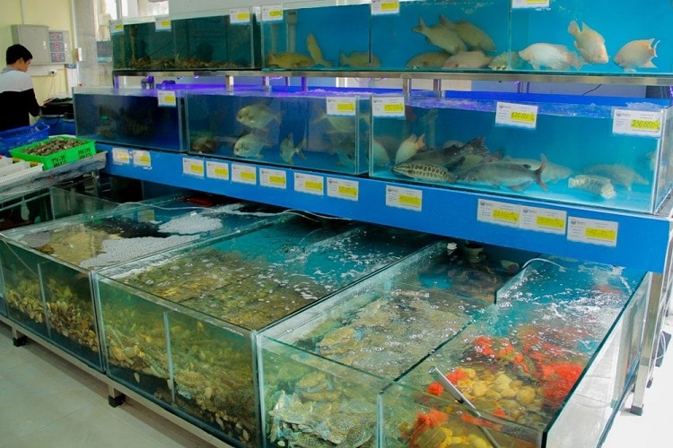 Top 10 địa chỉ mua hải sản tươi sống ngon nhất TPHCM