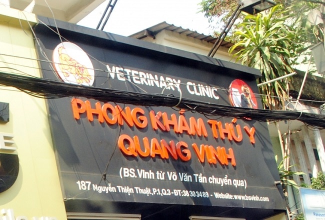 Phòng khám Thú Y Quang Vinh là Top Phòng khám thú y uy tín và đảm bảo nhất tại TPHCM