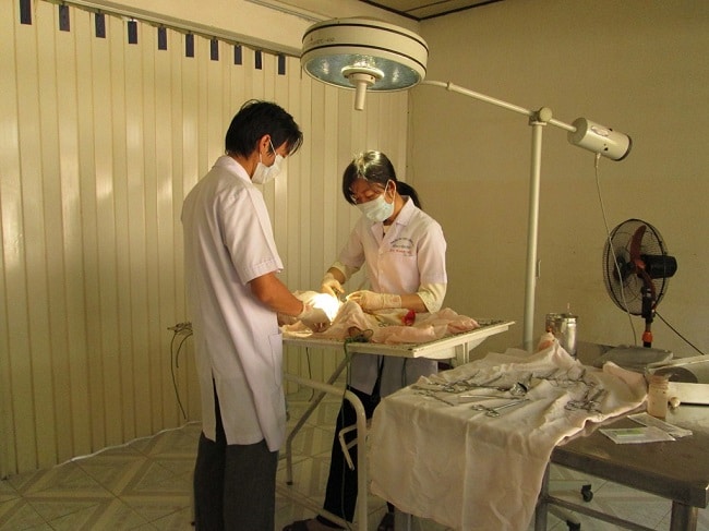 Phòng khám Thú Y trường đại học Nông Lâm TP HCM là Top Phòng khám thú y uy tín và đảm bảo nhất tại TPHCM