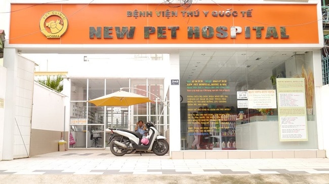 Phòng khám Thú y Bệnh viện New Pet là Top Phòng khám thú y uy tín và đảm bảo nhất tại TPHCM