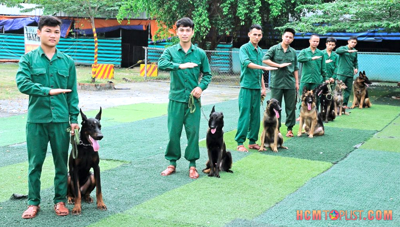 Trường huấn luyện chó uy tín Thành Tài