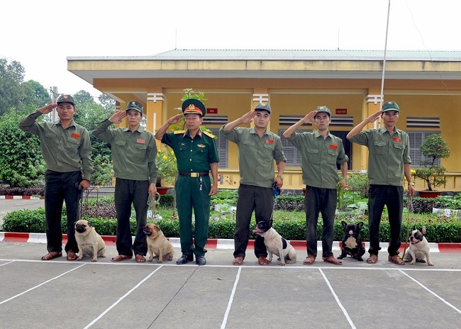 Trung tâm huấn luyện chó Quân Cảnh 